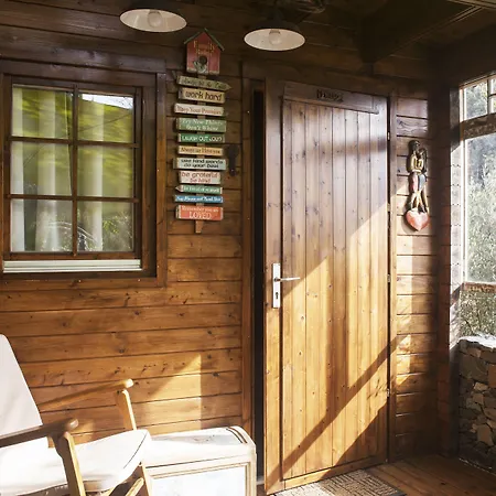 Casas Maravilha By Homie