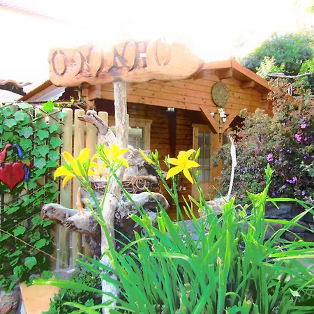 Casas Maravilha By Homie *