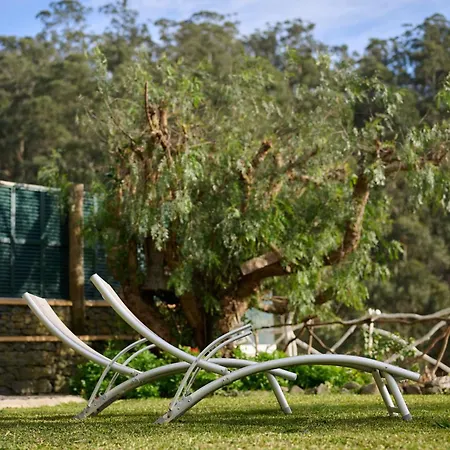 Casas Maravilha By Homie *