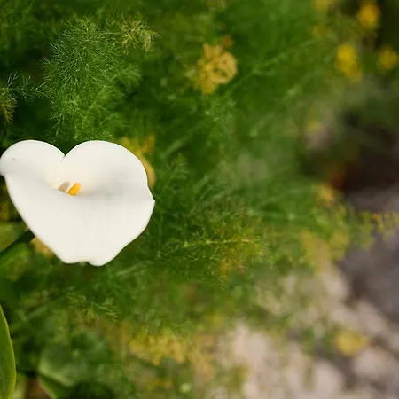 Casas Maravilha By Homie Semesterbostad *