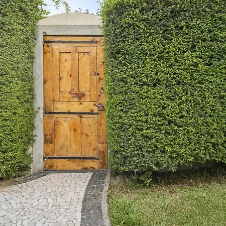 Casas Maravilha By Homie