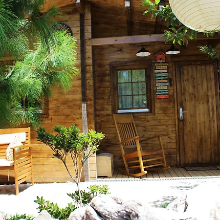 Casas Maravilha By Homie *