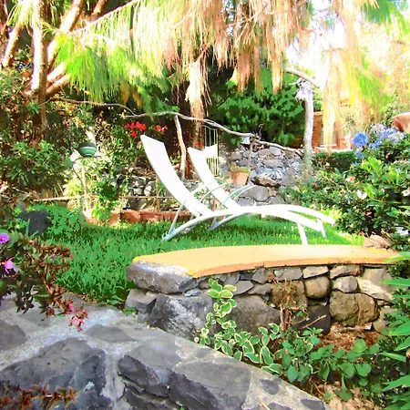 Casas Maravilha By Homie * קלייטה